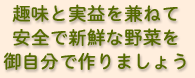 趣味と実益を兼ねて 安全で安心な野菜を 御自分で作りましょう